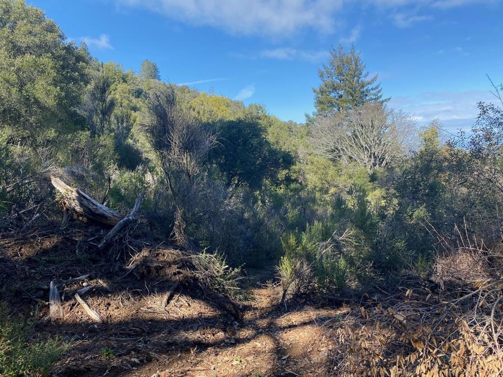 15935 Wildcat Property Photo 11
