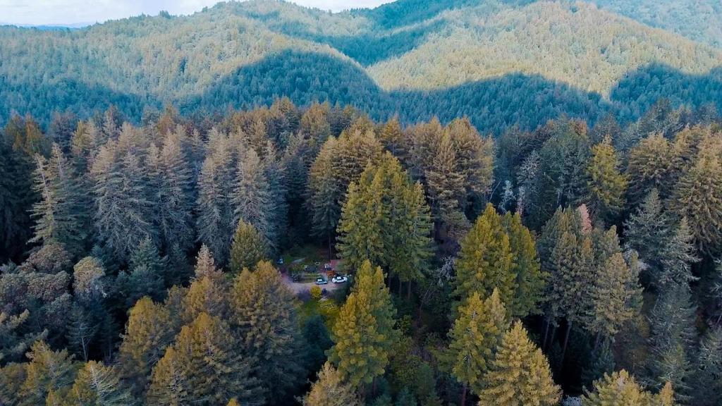 6121 Fern Flat Road Property Photo 1