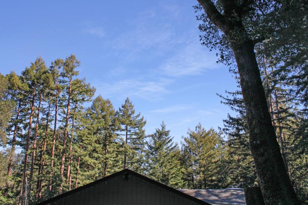1940 Waterman Gap Loop Property Photo 4