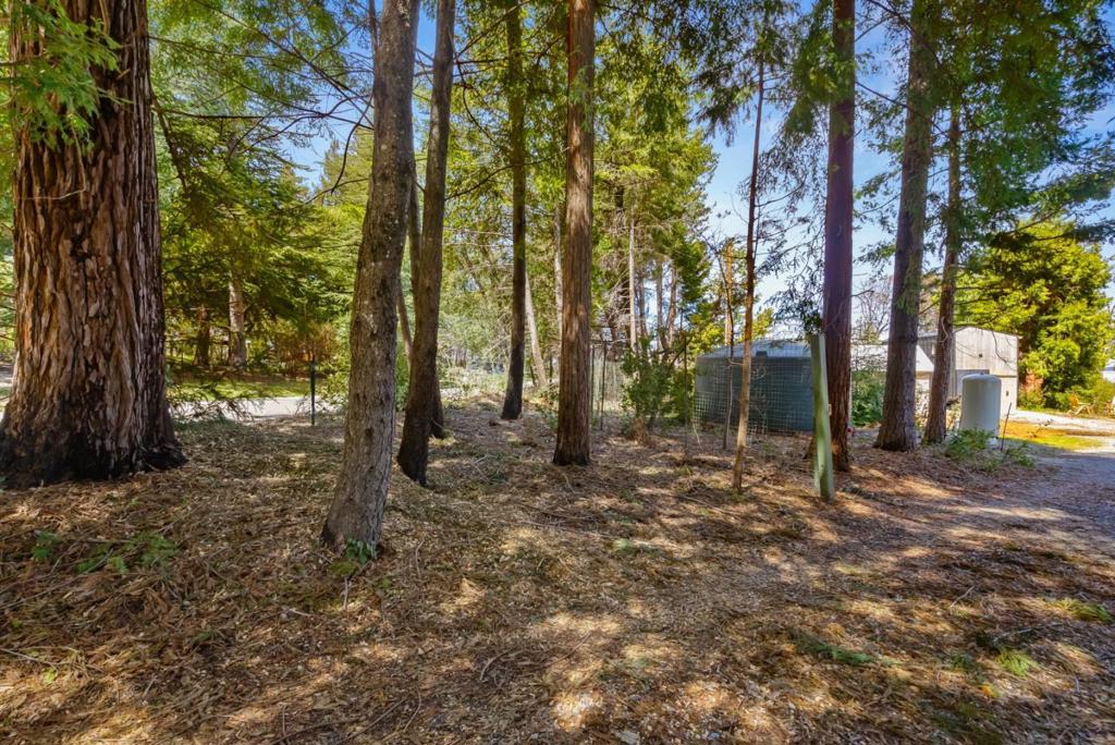 335 Braemoor Drive Property Photo 32