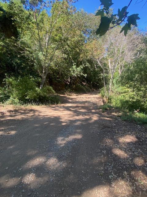 0 Llagas Road Property Photo 8
