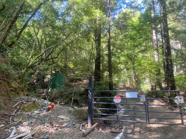 0 Llagas Road Property Photo 11