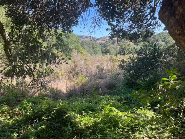 0 Laureles Grade Property Photo 4