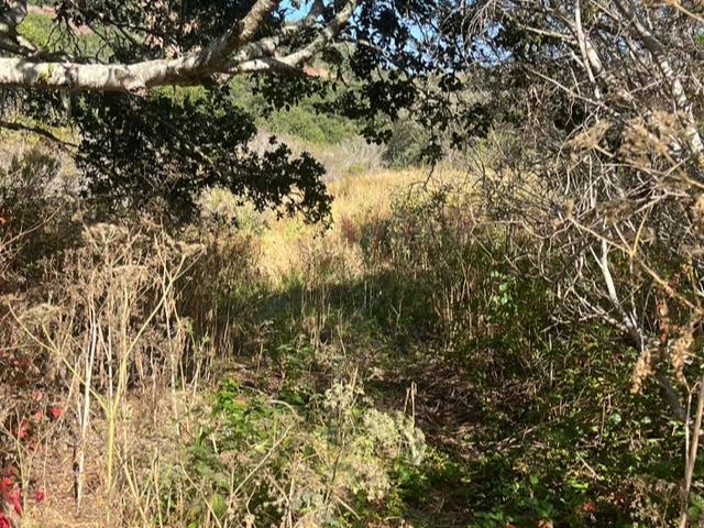 0 Laureles Grade Property Photo 5