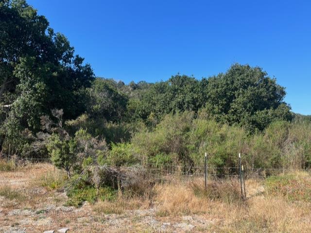 0 Laureles Grade Property Photo 6