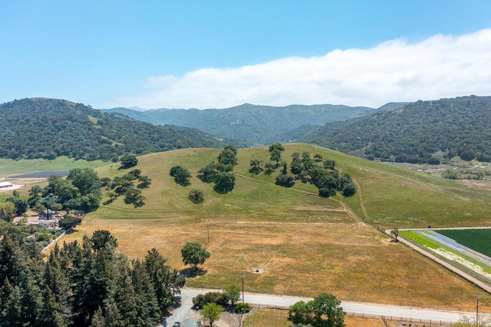 333 Mission Vineyard Road Property Photo 1