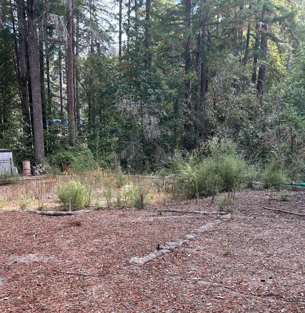 235 Double Bogey Drive Property Photo 3