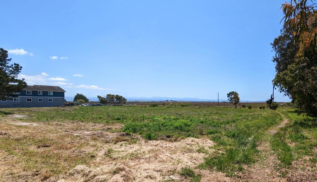 10298 Tembladera Street Property Photo 10
