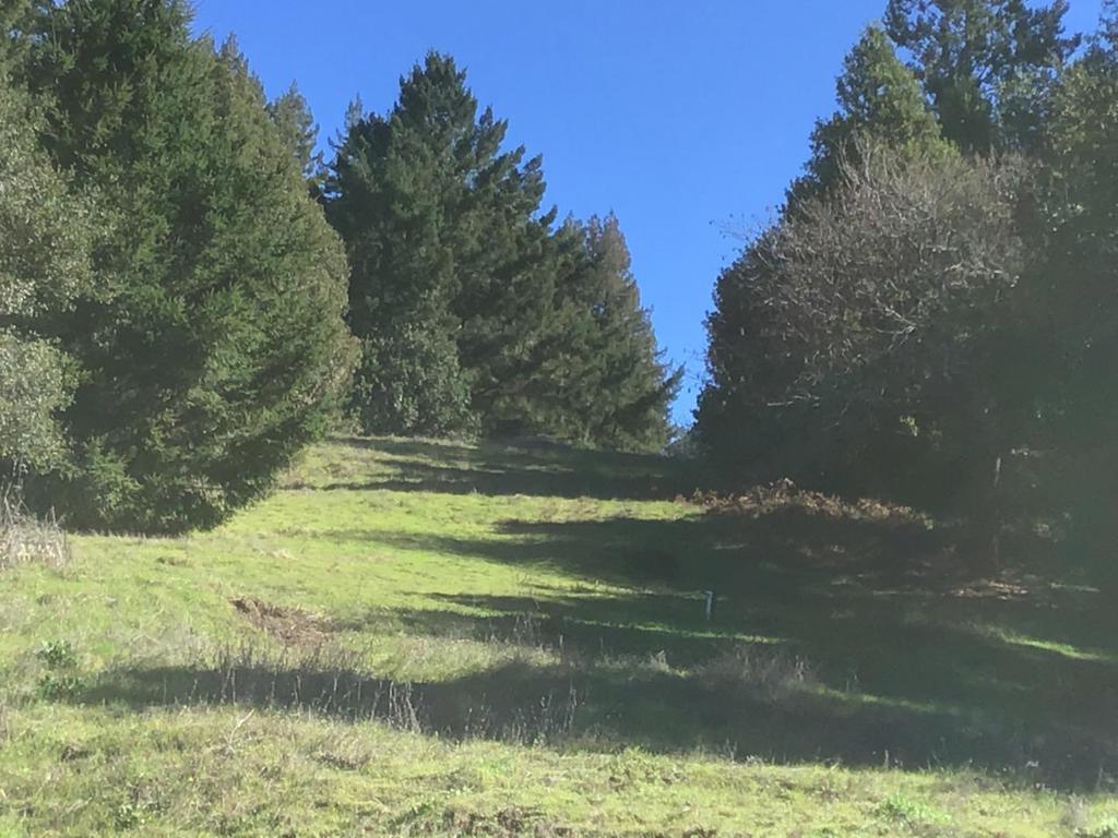1550 Tindall Ranch Road Property Photo 28