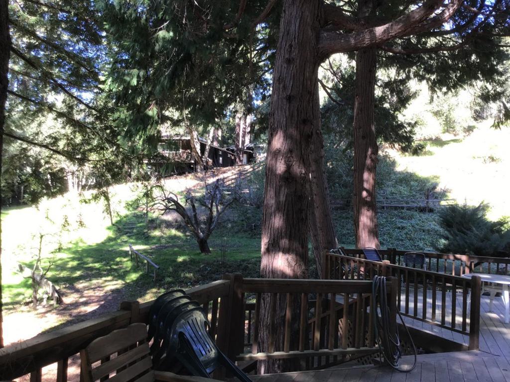 1550 Tindall Ranch Road Property Photo 36