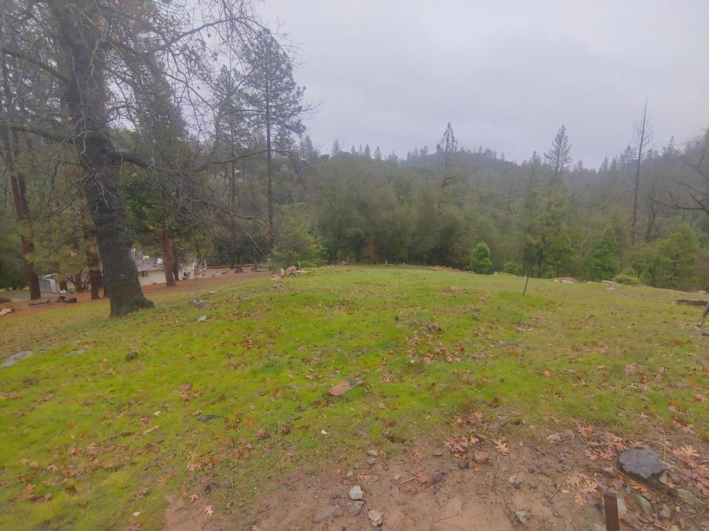 13003 Wells Fargo Drive Property Photo 1