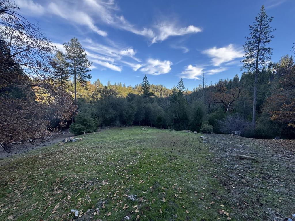 13003 Wells Fargo Drive Property Photo 2
