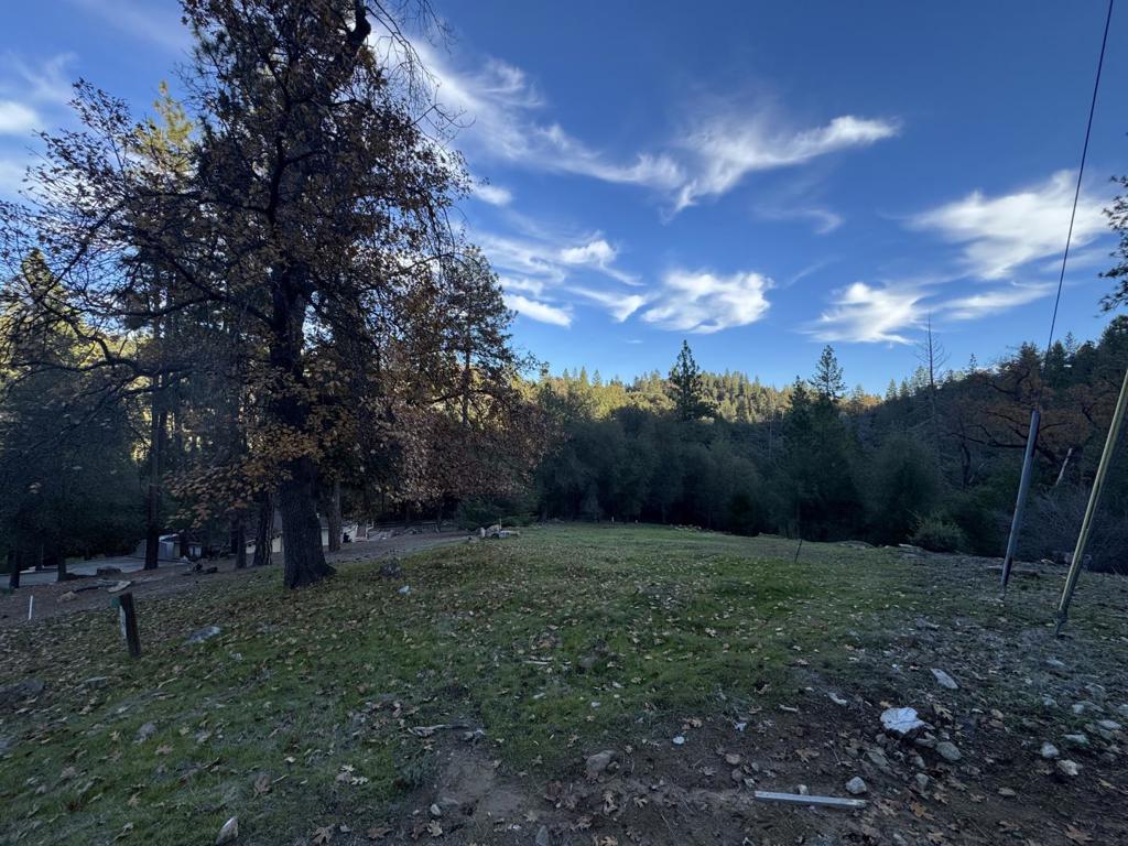 13003 Wells Fargo Drive Property Photo 4