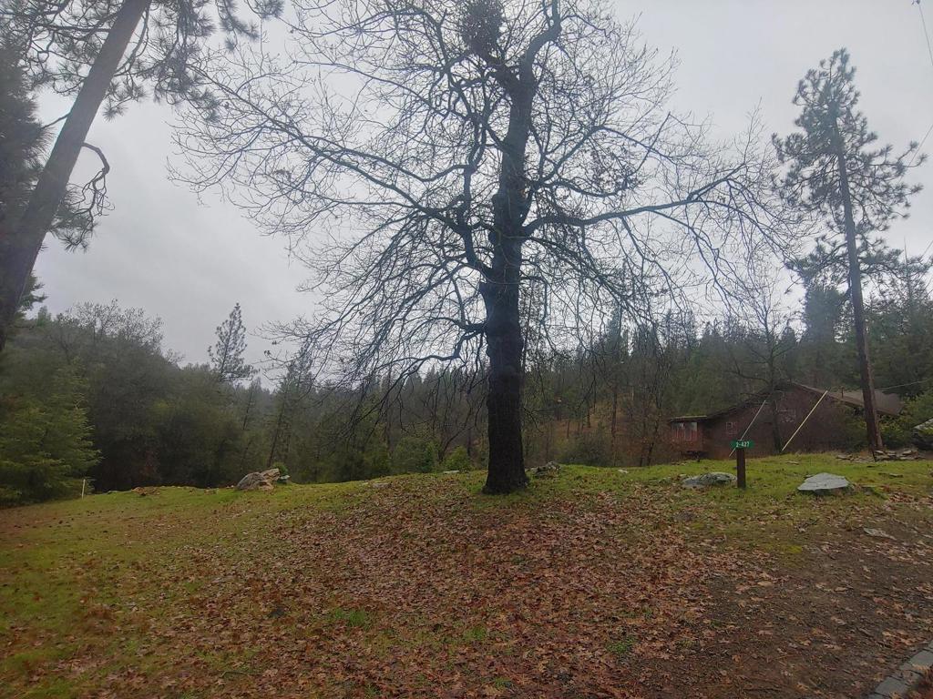 13003 Wells Fargo Drive Property Photo 10