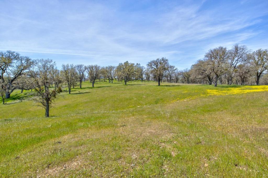 46400 San Antonio Valley Property Photo 33