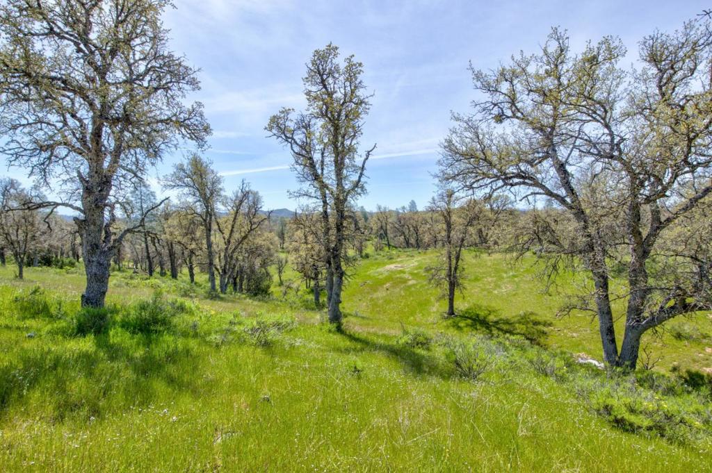 46400 San Antonio Valley Property Photo 34
