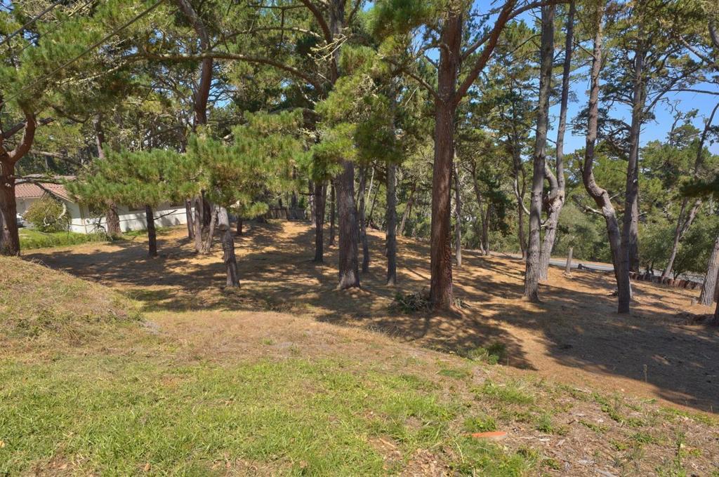 4037 Costado Road Property Photo 1