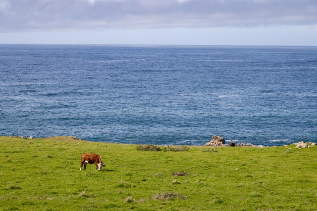 37305 Highway 1 Property Photo 9