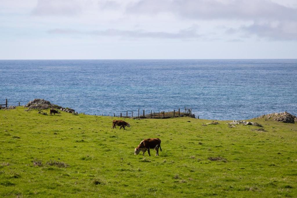 37305 Highway 1 Property Photo 10