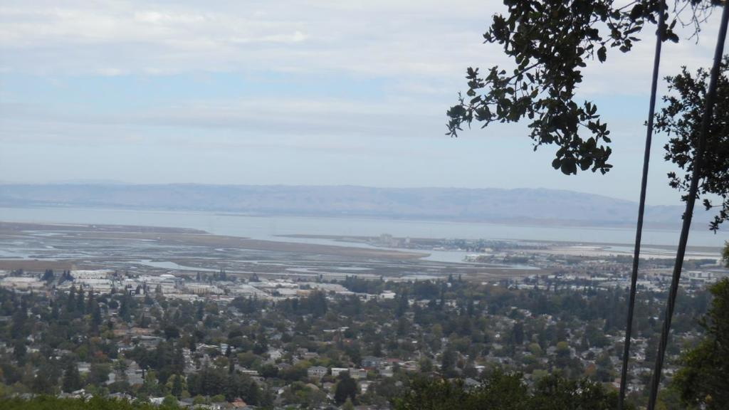 758 Loma Property Photo 8