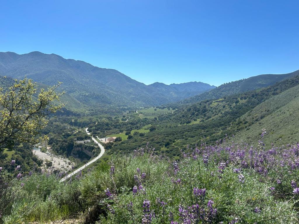 47208 Arroyo Seco Road Property Photo 1