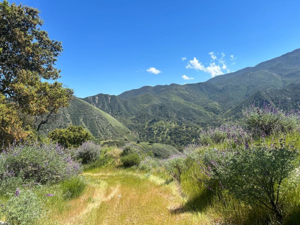 47208 Arroyo Seco Road Property Photo 2