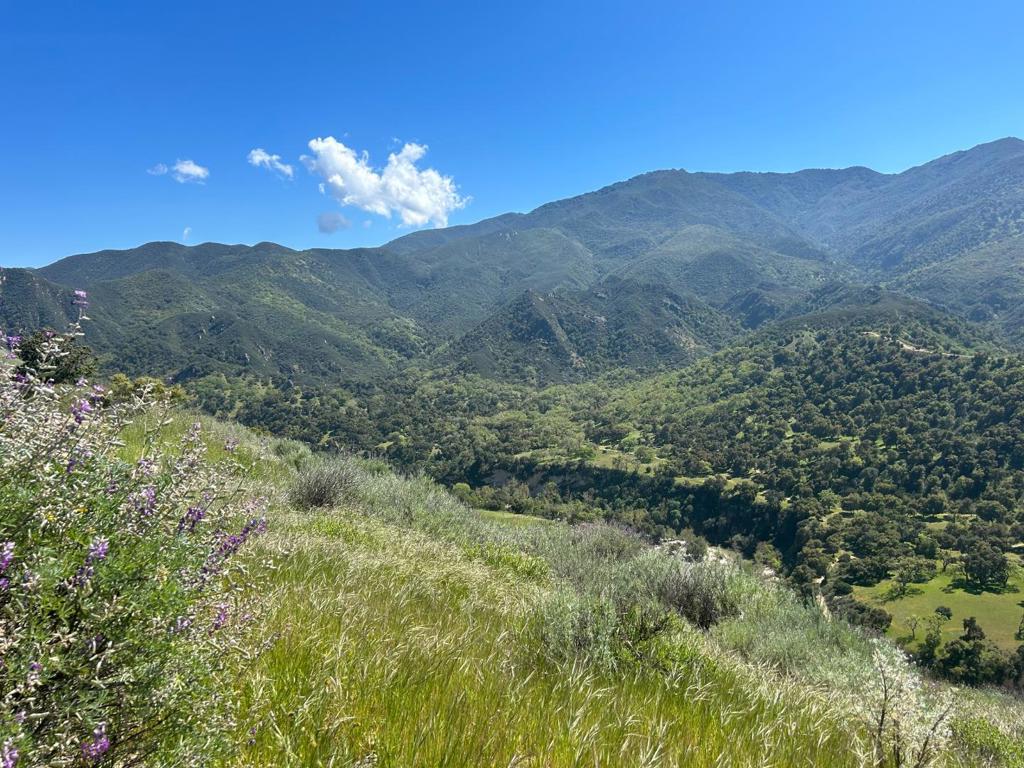 47208 Arroyo Seco Road Property Photo 3