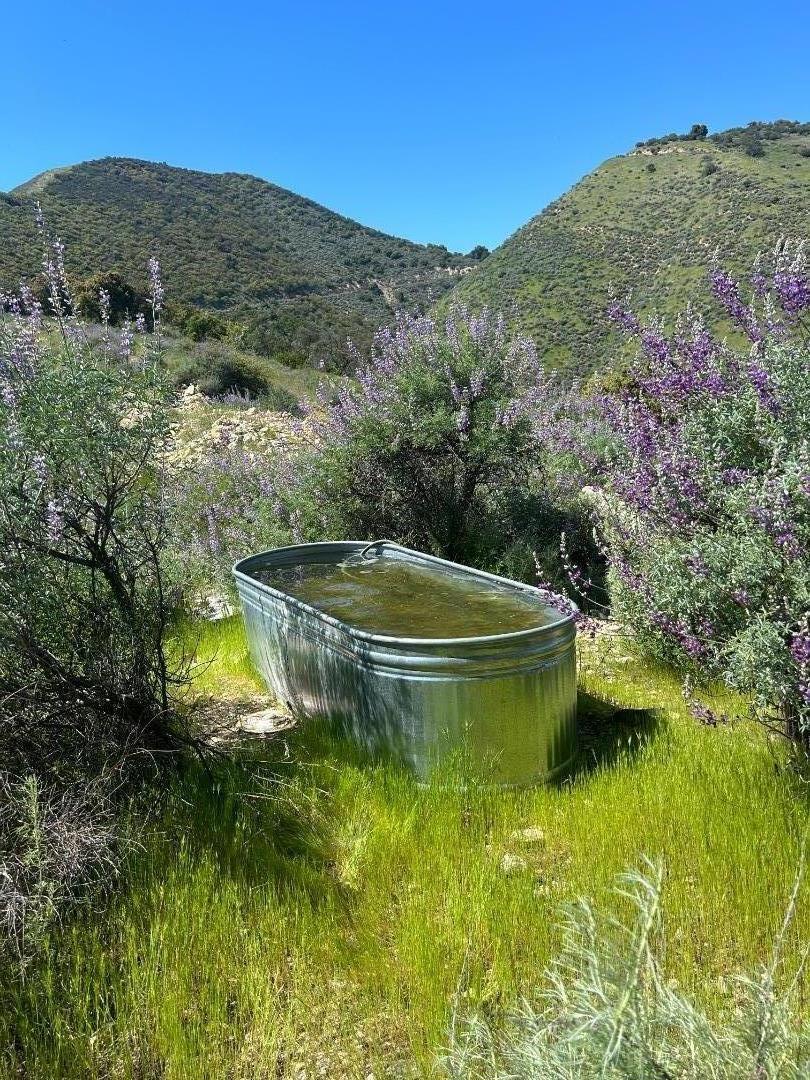 47208 Arroyo Seco Road Property Photo 4