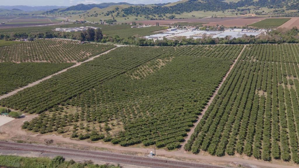 275 Bolsa Road Property Photo 12