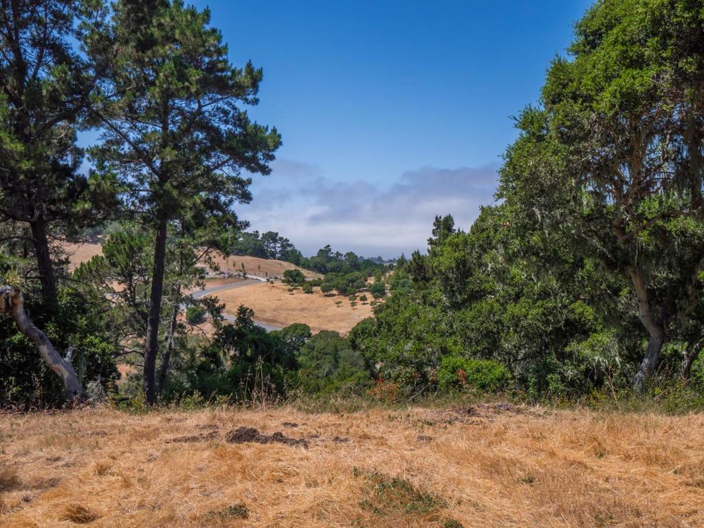 7765 Paseo Venado Property Photo 4
