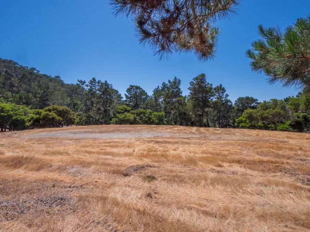 7765 Paseo Venado Property Photo 18