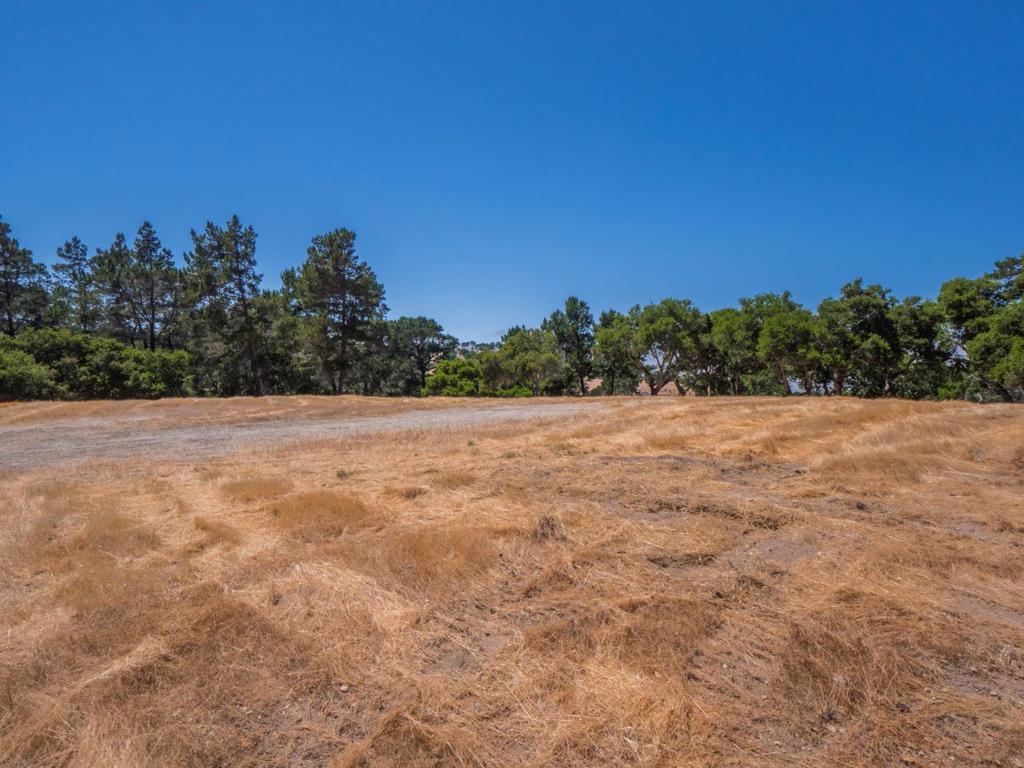 7765 Paseo Venado Property Photo 19