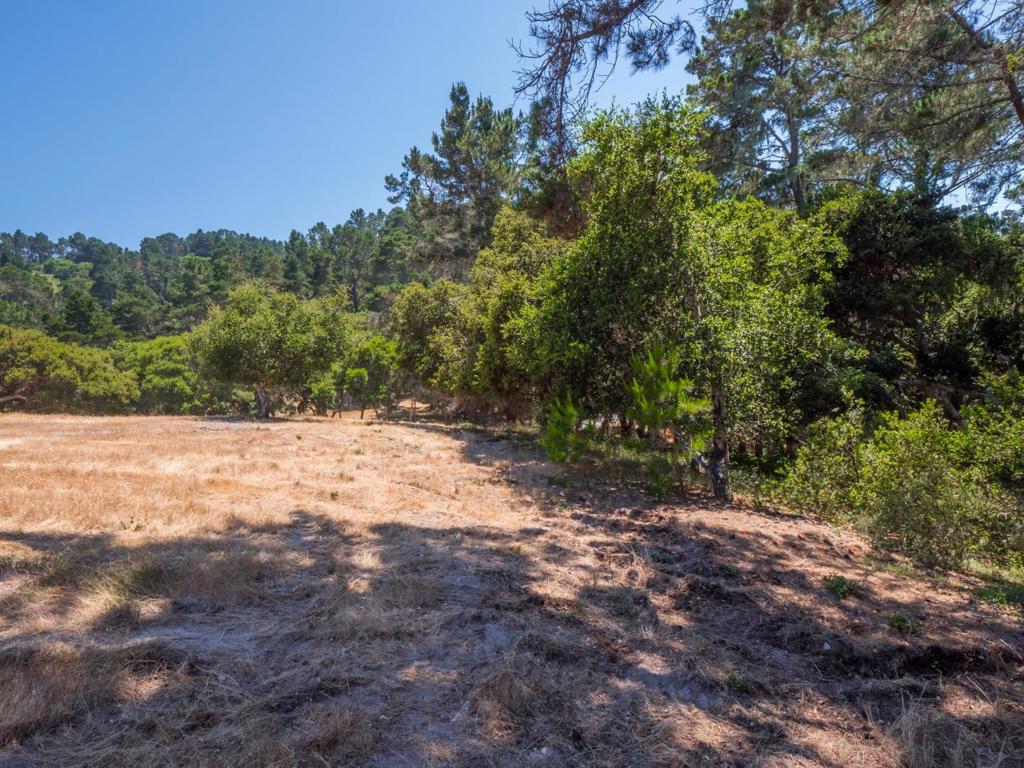 7765 Paseo Venado Property Photo 22