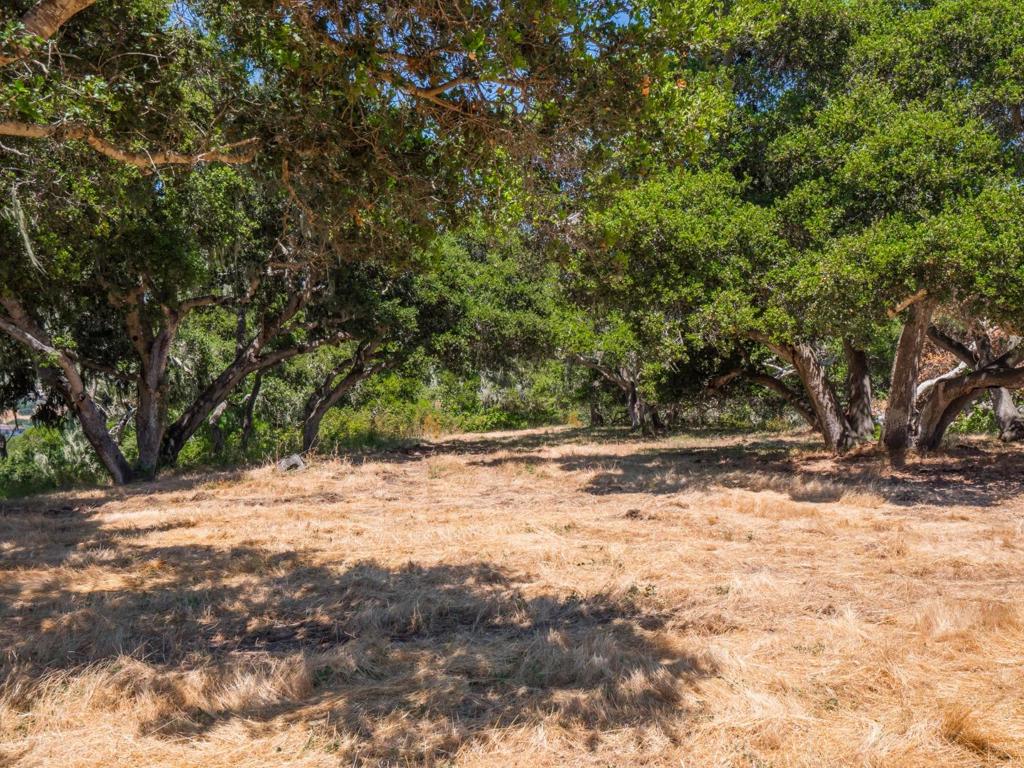 7765 Paseo Venado Property Photo 28