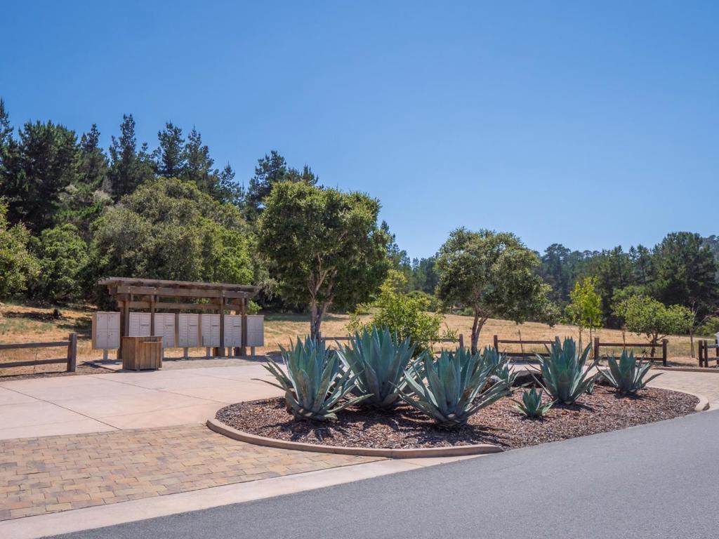 7765 Paseo Venado Property Photo 43