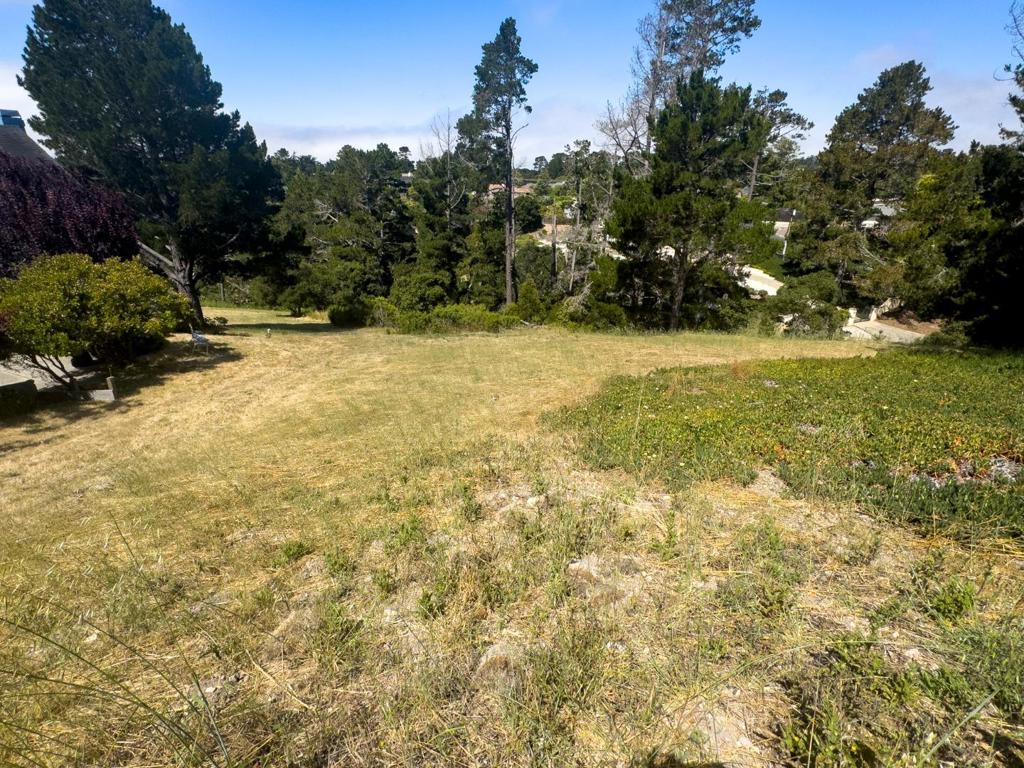 25575 Chiquito PL Property Photo 1