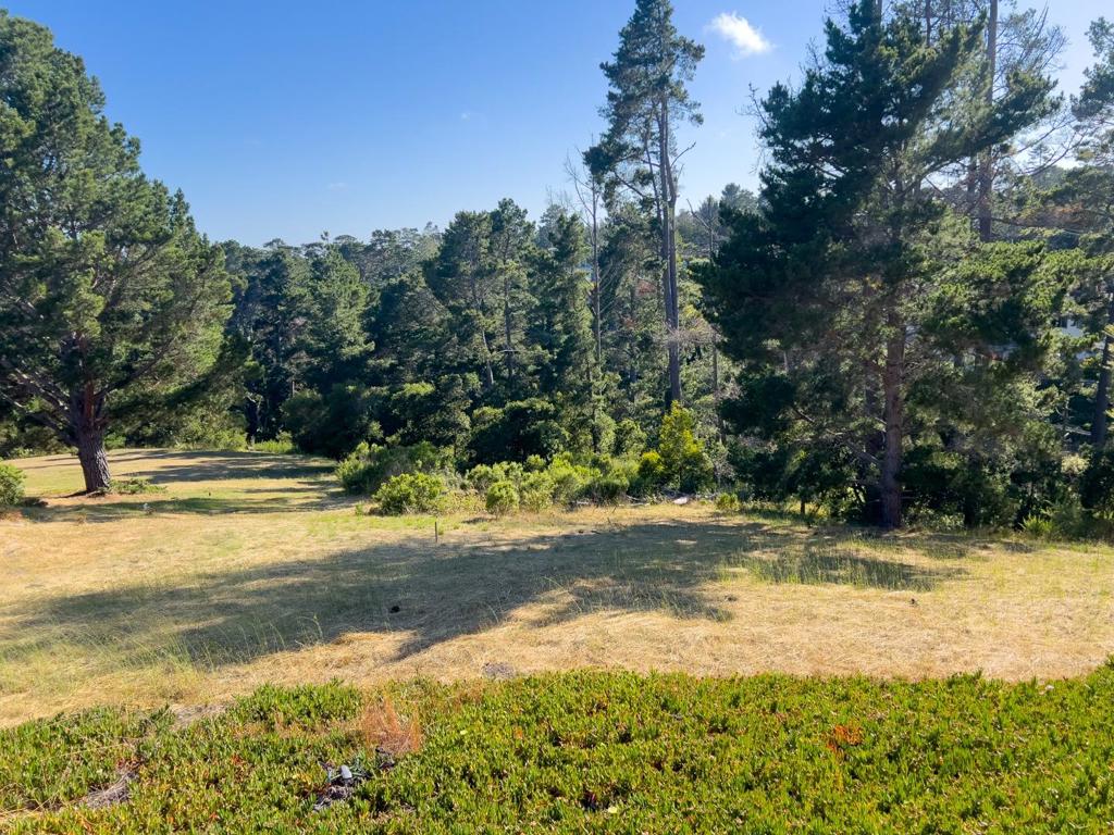 25575 Chiquito Pl Property Photo 6