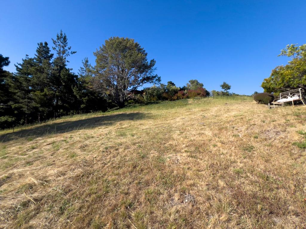25575 Chiquito Pl Property Photo 7