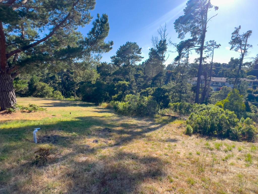 25575 Chiquito Pl Property Photo 8
