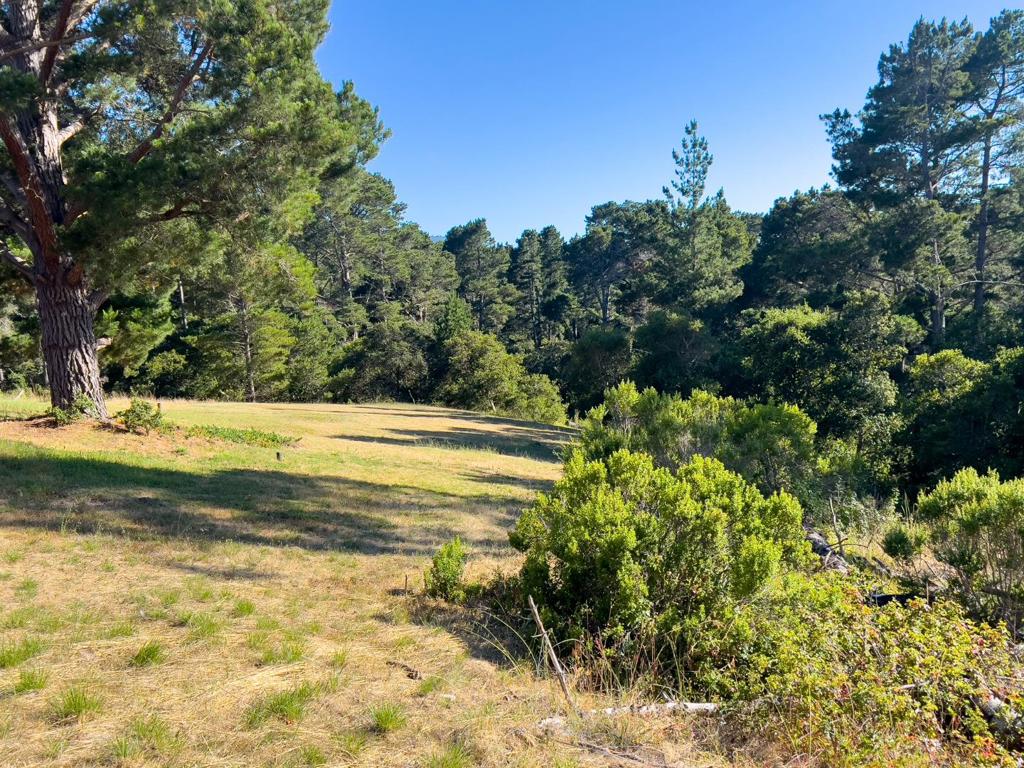 25575 Chiquito Pl Property Photo 9