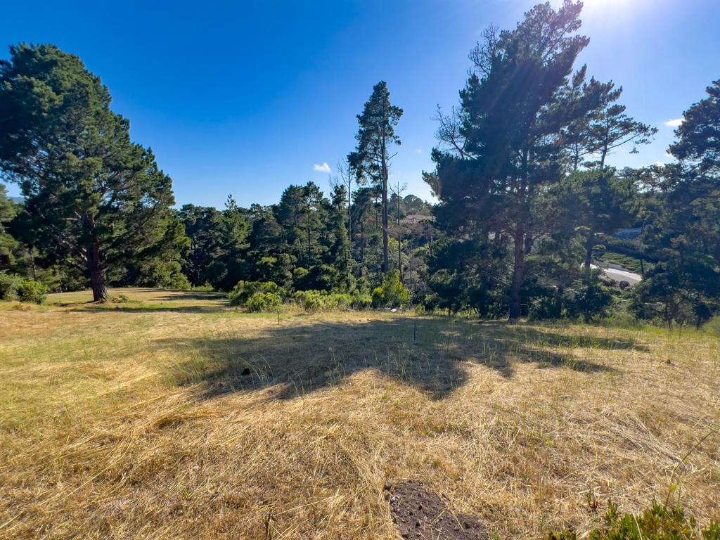 25575 Chiquito Pl Property Photo 10