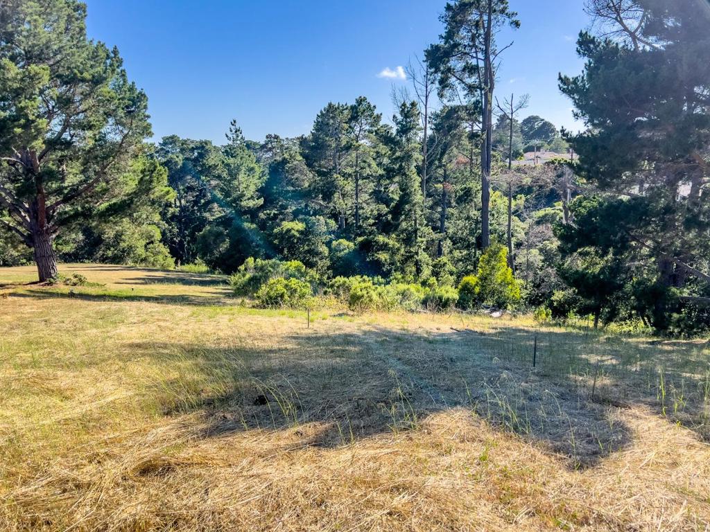 25575 Chiquito Pl Property Photo 11