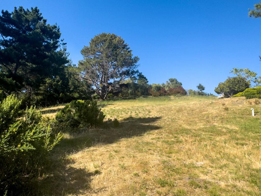 25575 Chiquito Pl Property Photo 12