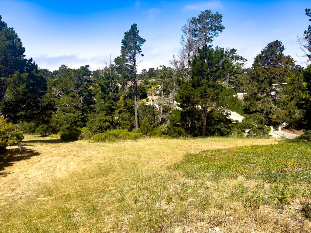 25575 Chiquito Pl Property Photo 13