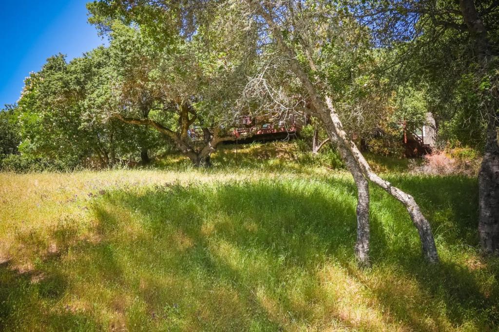 0 Sherman Property Photo 2