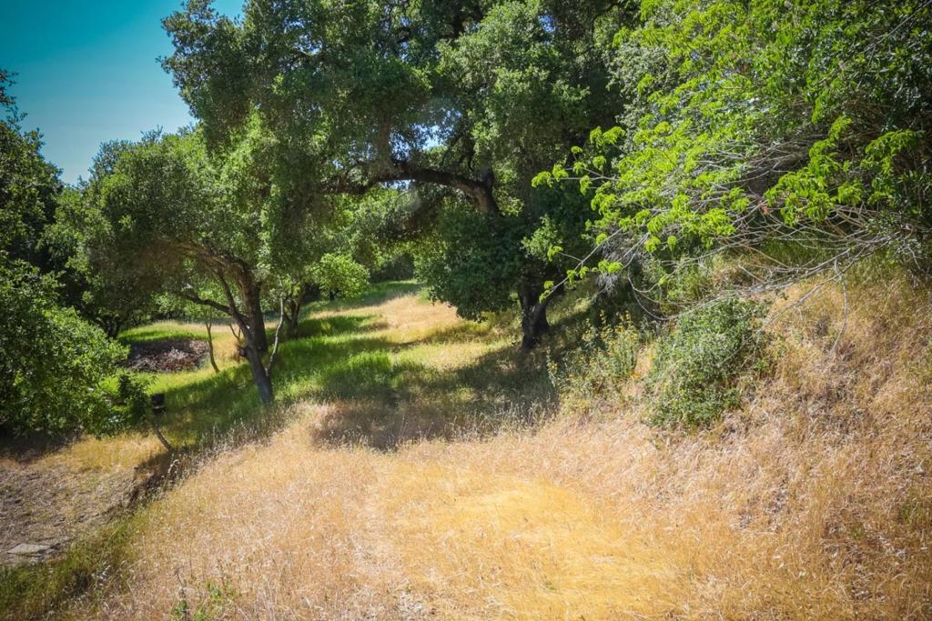 0 Sherman Property Photo 7