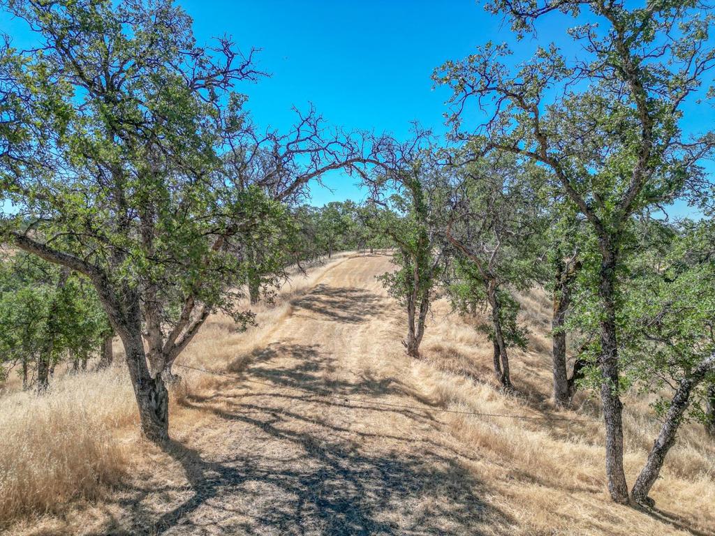 0 Wood Duck Pass Road Property Photo 1