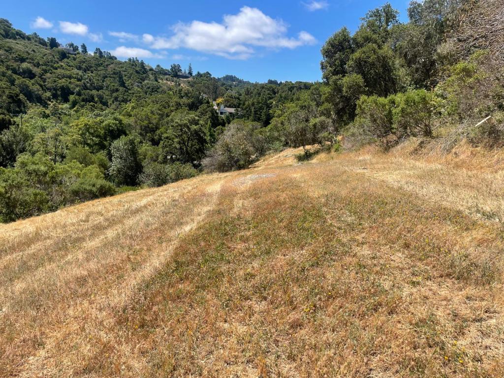 0 Tartan Trail Road Property Photo 1