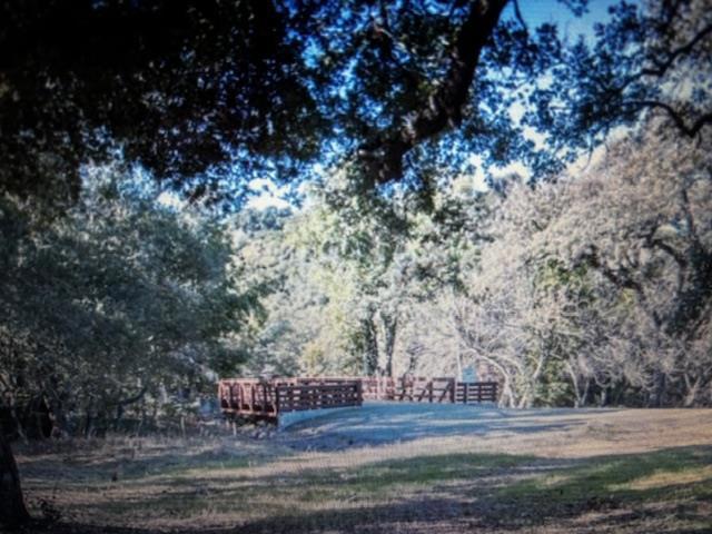 3343 Alpine Road Property Photo 3