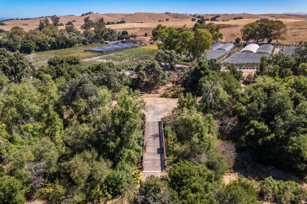3343 Alpine Road Property Photo 9